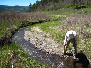 watershed management